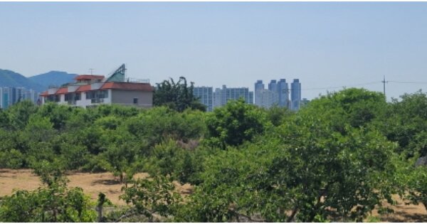 대구광역시 수성구 사월동 O 전 경매 물건 이미지