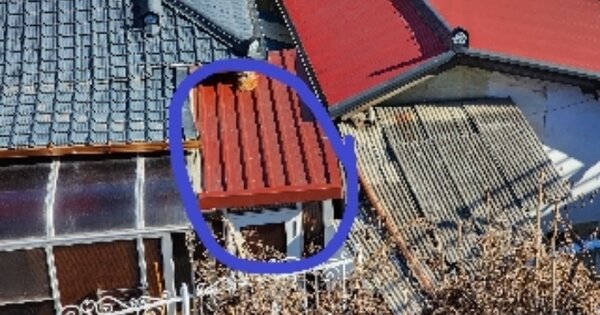 충청북도 제천시 화산동 OOOOO 단독주택 경매 물건 이미지