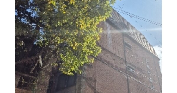 서울 강남구 역삼동 OOOOOOO OOOOOO OOOOOOOOOOO 연립주택 경매 물건 이미지