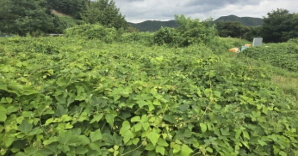 경상북도 칠곡군 가산면 송학리 OOOOO 전 경매 물건 이미지