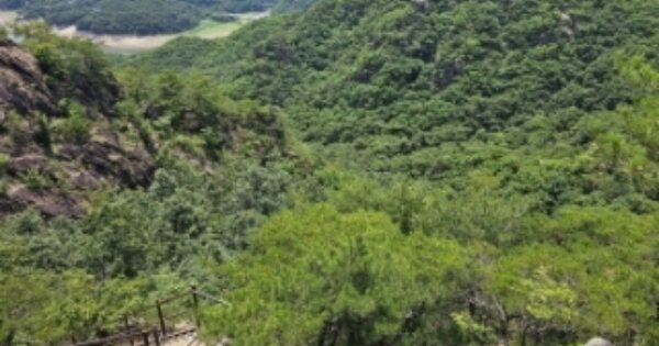 충청북도 단양군 단성면 장회리 OOOOO 임야 경매 물건 이미지