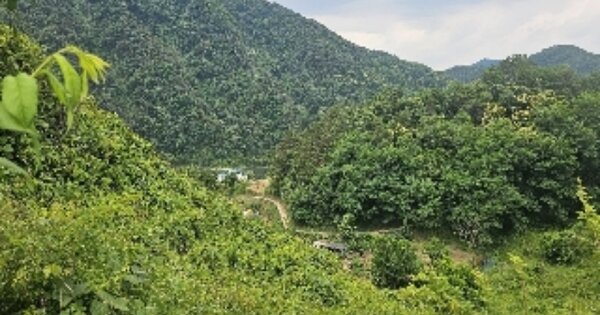 충청북도 옥천군 안남면 지수리 OOOO 전 경매 물건 이미지