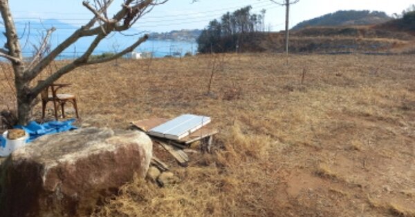 경상남도 거제시 장목면 대금리 OOOO O OOO 답 경매 물건 이미지
