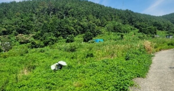 경상남도 거제시 사등면 오량리 OOO 답 경매 물건 이미지