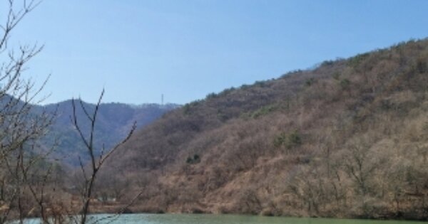 경상남도 진주시 금곡면 성산리 OOOO 임야 경매 물건 이미지