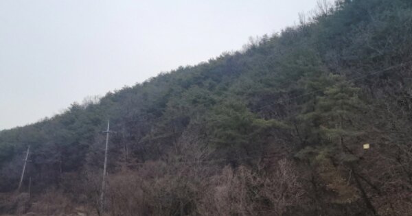 경상북도 고령군 쌍림면 합가리 OOO 임야 경매 물건 이미지