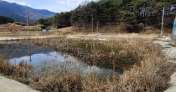 경상남도 산청군 산청읍 묵곡리 OOOOO 양어장 경매 물건 이미지