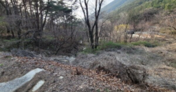 대구광역시 달성군 유가읍 가태리 OOOOOO 임야 경매 물건 이미지