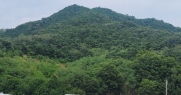 경상북도 성주군 초전면 어산리 OOO 임야 경매 물건 이미지