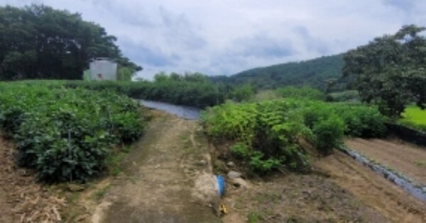 경상남도 산청군 신등면 평지리 OOO 전 경매 물건 이미지