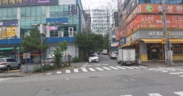 전북특별자치도 전주시 덕진구 호성동1가 OOOOOO 임야 경매 물건 이미지