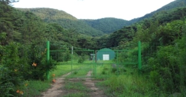 대구광역시 달성군 구지면 도동리 O 전 경매 물건 이미지