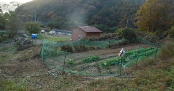 전북특별자치도 완주군 화산면 성북리 OOOOO 임야 경매 물건 이미지