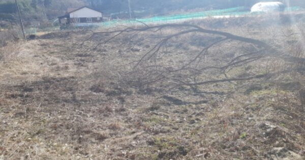 경기도 안성시 죽산면 두교리 OOO 답 경매 물건 이미지