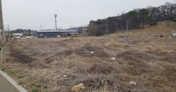 경기도 평택시 죽백동 OOOOO 답 경매 물건 이미지