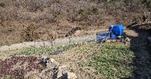 전라남도 여수시 묘도동 OOOOO 임야 경매 물건 이미지