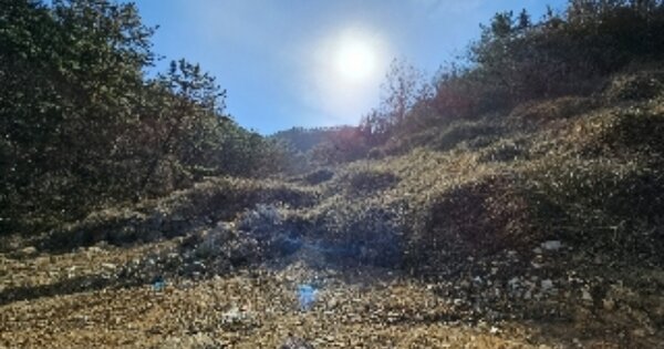 전라남도 여수시 묘도동 OOOOO 임야 경매 물건 이미지