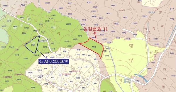 전라남도 함평군 월야면 용정리 OOO 전 경매 물건 이미지