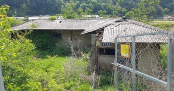 강원특별자치도 화천군 상서면 노동리 OOOOO O OOO 답 경매 물건 이미지