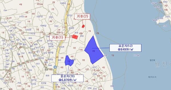 전라남도 함평군 손불면 월천리 OOOOO 임야 경매 물건 이미지