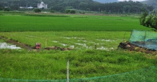 전라남도 여수시 율촌면 조화리 OOO 답 경매 물건 이미지