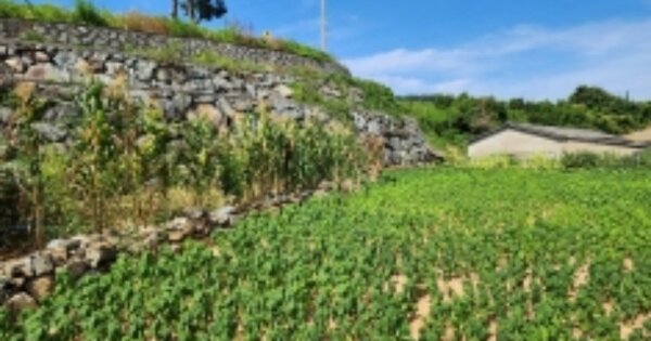 전라남도 고흥군 포두면 오취리 OOOOO 공장 경매 물건 이미지