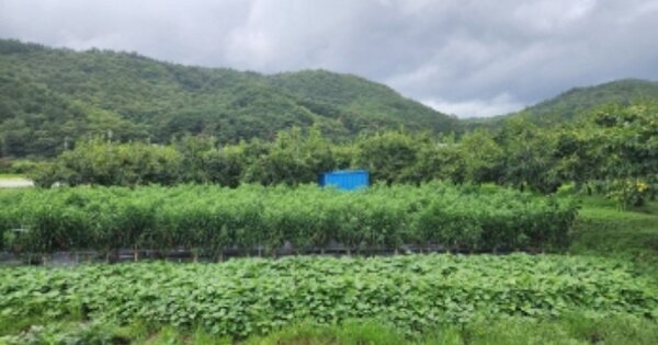 전라남도 순천시 서면 운평리 OOO O OOO 전 경매 물건 이미지