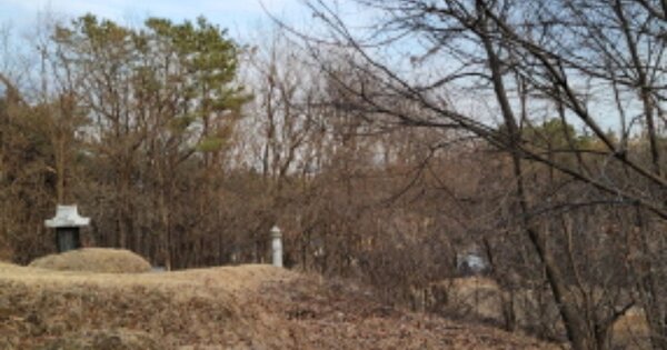 경기도 파주시 파주읍 백석리 OOOOO 임야 경매 물건 이미지