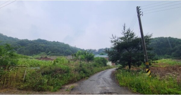 경기도 파주시 문산읍 내포리 OOOOO O OOO 임야 경매 물건 이미지
