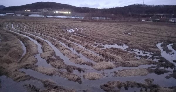 경기도 포천시 일동면 유동리 OOOOO 답 경매 물건 이미지
