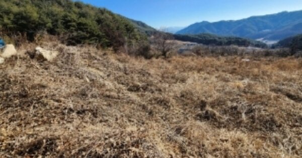 경상북도 봉화군 춘양면 학산리 OOO 답 경매 물건 이미지