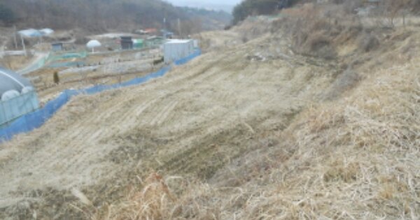 세종특별자치시 전의면 양곡리 OO 답 경매 물건 이미지