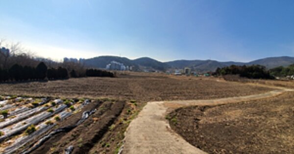 경상남도 창원시 진해구 소사동 OOOOO 답 경매 물건 이미지