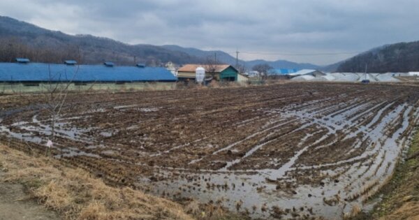 충청남도 천안시 동남구 병천면 봉항리 OOOOO 답 경매 물건 이미지