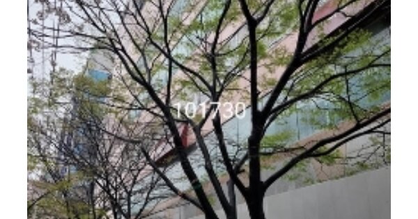 부산 해운대구 좌동 OOOOOOO OOOOOOO OOOOOOOOOOOOOO 근린상가 경매 물건 이미지