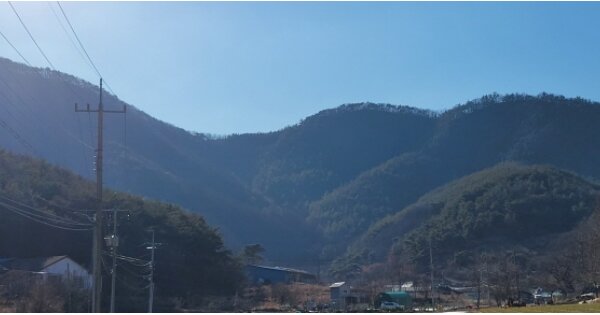 경상북도 영천시 신녕면 치산리 OOOO 임야 경매 물건 이미지