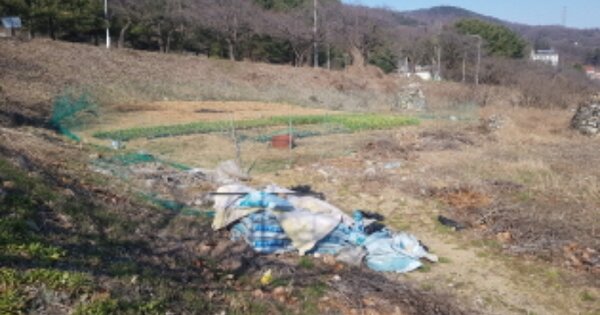 충청남도 아산시 음봉면 신수리 OOOOO 대지 경매 물건 이미지