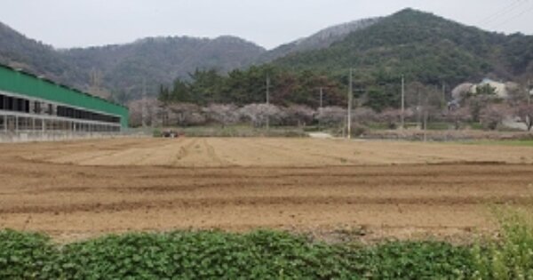 경상남도 김해시 생림면 생림리 OOOOO 답 경매 물건 이미지
