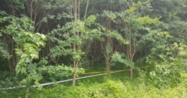 충청남도 아산시 배방읍 휴대리 OOO 전 경매 물건 이미지