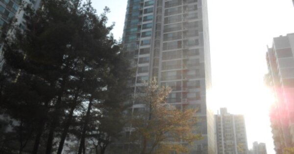 세종특별자치시 조치원읍 신흥리 393, 209동 OOOOOOOO 아파트 경매 물건 이미지