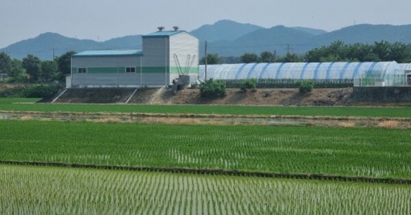 충청남도 천안시 동남구 성남면 신사리 OOO 답 경매 물건 이미지