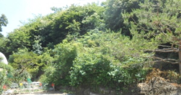 세종특별자치시 전의면 유천리 OOOOOO 임야 경매 물건 이미지