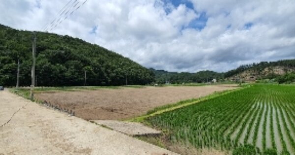 경상남도 함안군 대산면 옥렬리 OOOOO 답 경매 물건 이미지