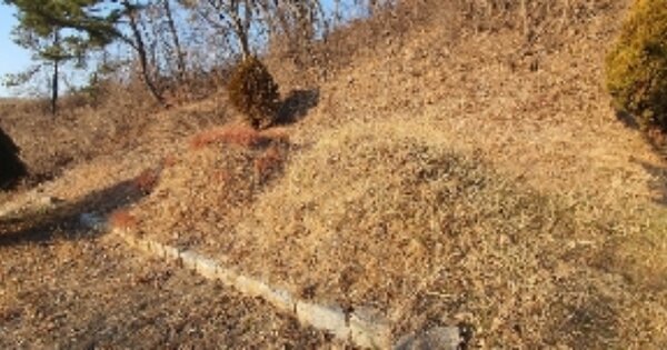 경상남도 함안군 칠서면 계내리 OOO 전 경매 물건 이미지