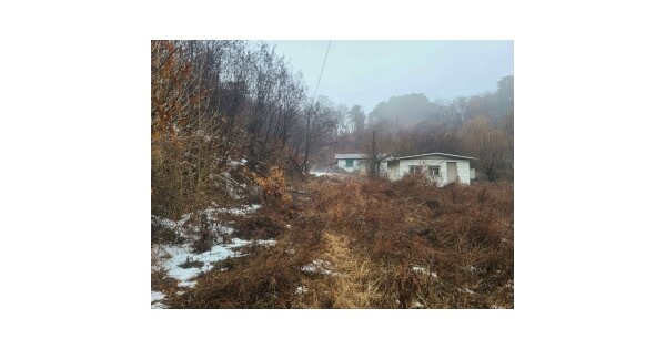 경기도 양평군 개군면 하자포리 OOOOO O OOO 답 경매 물건 이미지