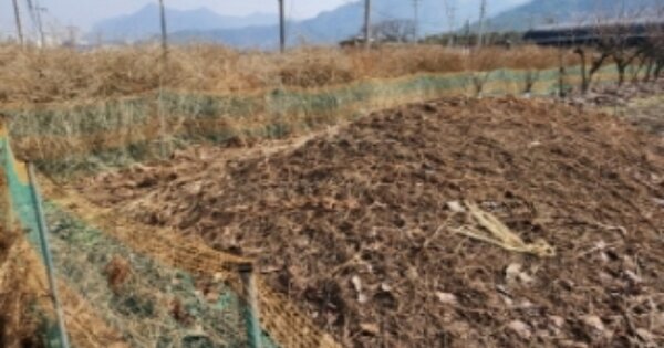 전라북도 정읍시 입암면 신면리 OOOO 전 경매 물건 이미지