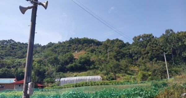 충청남도 청양군 대치면 주정리 OOO 임야 경매 물건 이미지