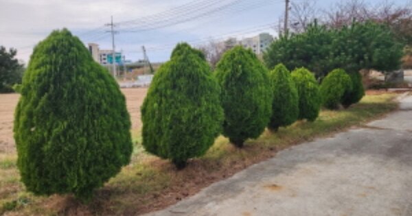 전라북도 부안군 변산면 운산리 OOOOOO O OOO 숙박시설 경매 물건 이미지