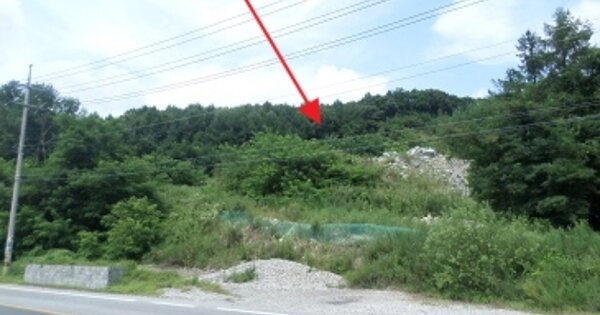 강원특별자치도 횡성군 우천면 하궁리 OOOO O OOOO 임야 경매 물건 이미지