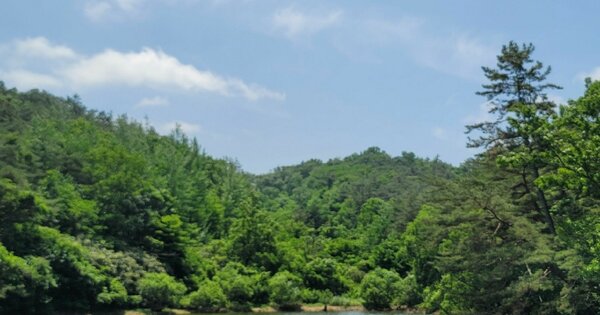 전라남도 함평군 신광면 원산리 OOOOO 전 경매 물건 이미지